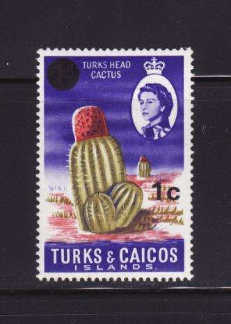 Turks and Caicos Islands 182 MHR Plants, Turks Head Cactus