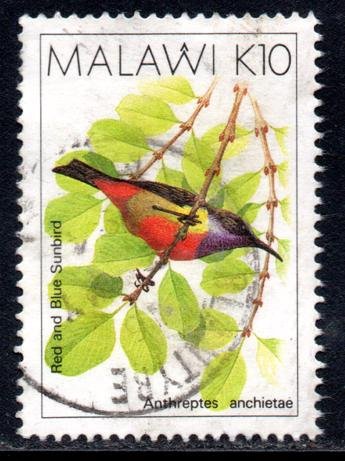 Malawi - 1988 Birds K10 Sunbird Used SG 804