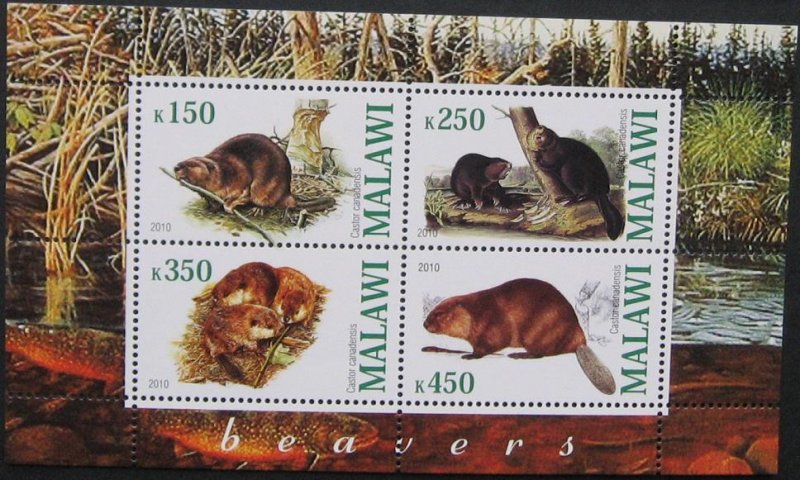 2010 Wild Animals Mammals Beavers Rodents Fauna Nature M/S Stamps MNH perf