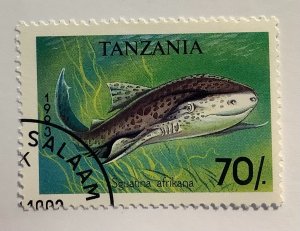 Tanzania 1993 Scott 1139 CTO - 70sh,  African Angelshark (Squatina afrikana)