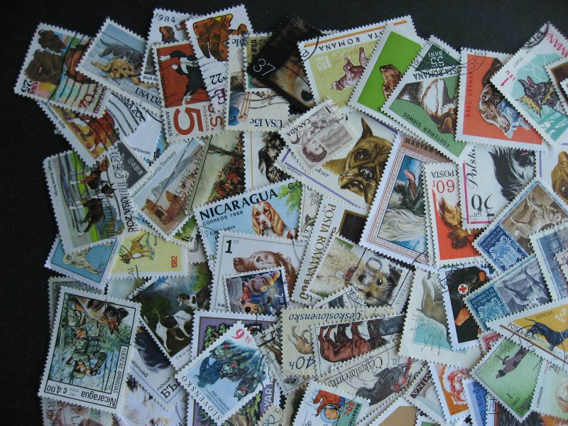 Topical hoard breakup 200 Dogs. Mixed condition, few duplicates