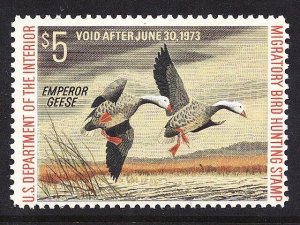 RW39 SUPERB MNH OG-GORGEOUS 1972 DUCK STAMP! (REM RW39-33)