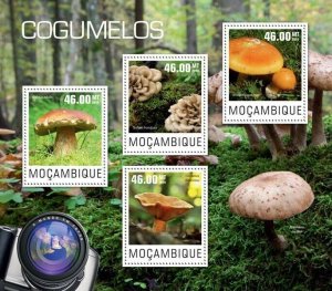 2014 MOZAMBIQUE  MNH. MUSHROOMS    |  Michel Code: 7545-7548