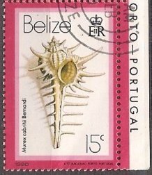 Belize 477 (used) 15c sea snail shell: Murex cabritii (1980)