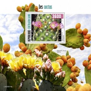 Central Africa - 2020 Gold Lace Cactus Plant - Stamp Souvenir Sheet - CA200614b