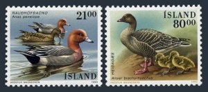 Iceland 686-687, MNH. Mi 722-723. Birds 1990. Anas penelope, Anser brachyrhychus