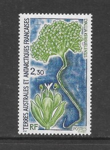 FRENCH SOUTHERN ANTARCTIC TERRITORY - CLEARANCE  #185 PLANT  MNH