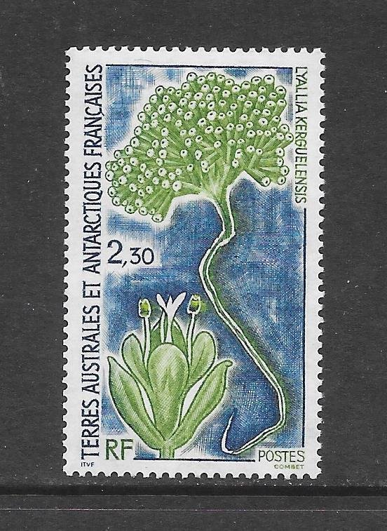 FRENCH SOUTHERN ANTARCTIC TERRITORY - CLEARANCE  #185 PLANT  MNH