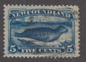 Newfoundland #54 Used