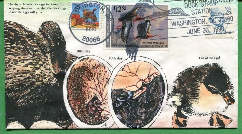 US #RW57 Hand Painted Duck First Day Cover 06/30/90 - Anagram - S8195