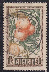 Algeria 231 Oranges & Lemons 1950