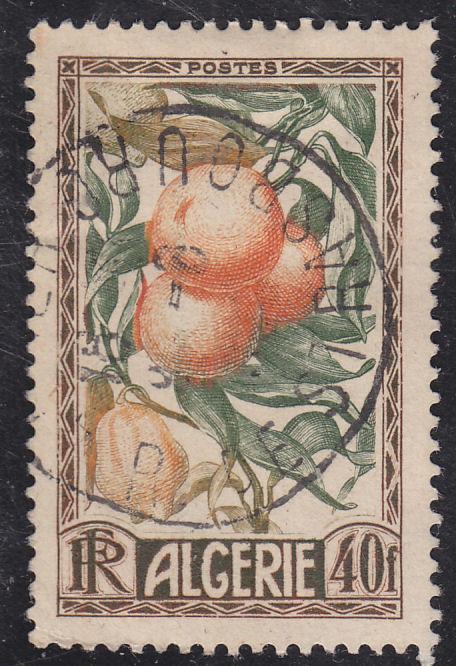 Algeria 231 Oranges & Lemons 1950