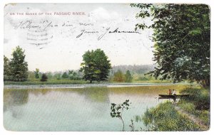 On the Banks of the Passaic River, New Jersey Divided Back Postcard Mailed 1908