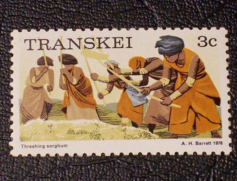 South Africa - Transkei Scott #7 mnh