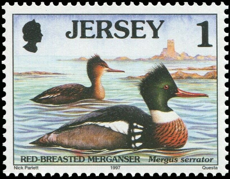 Great Britain Jersey 1997 Sc 778-785 Birds Merganser Tern Gull Puffin CV $10.85