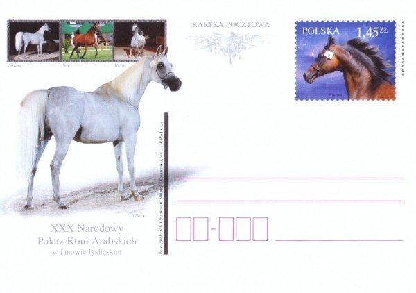 Poland 2008 Postal Stationary Postcard Stamp MNH Horses