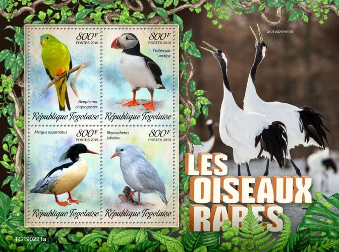 TOGO- 2019 - Rare Birds - Perf 4v Sheet  - M N H