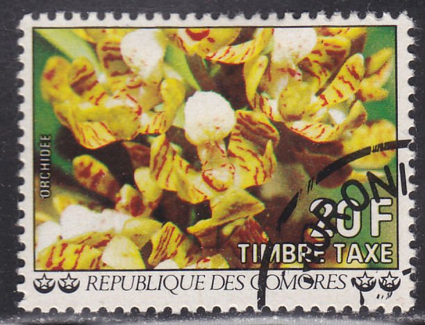 Comoro Islands J11 Flowers 1977