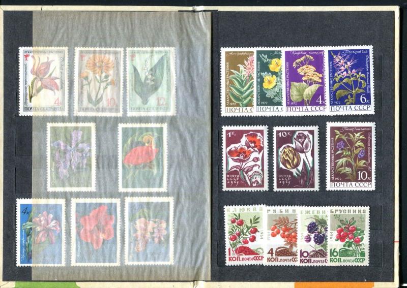 Flower Stamps From Russia In Presentation Folder With Clear Strips All MNH