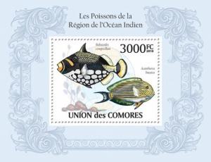 COMORES 2010 SHEET FISHES REGION OCEAN INDIAN POISSONS MARINE LIFE cm10122b