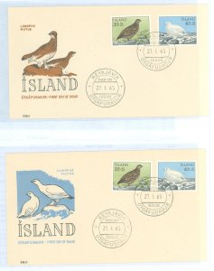 Iceland B19-B20 Rock Ptarmigan (birds) winter & summer plumage, two stamps on two First Day Covers with different cachets.