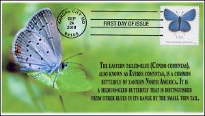 SC 5136, 2016, Eastern Tailed Blue, Butterfly, BW Cancel, FDC, 16-304