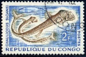 Fish, Sloan's Viperfish, Congo stamp SC#98 used