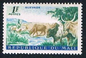 Mali 17 MLH Cattle (BP10521)