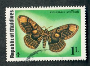 Maldive Islands #584 Butterflies used single