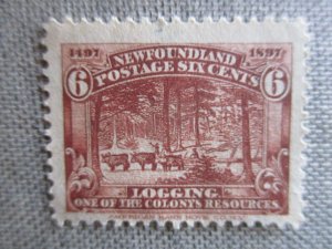 Newfoundland, Scott# 66, MNG