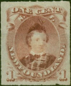 Newfoundland 1877 1c Lake Purple SG40 Fine & Fresh MM