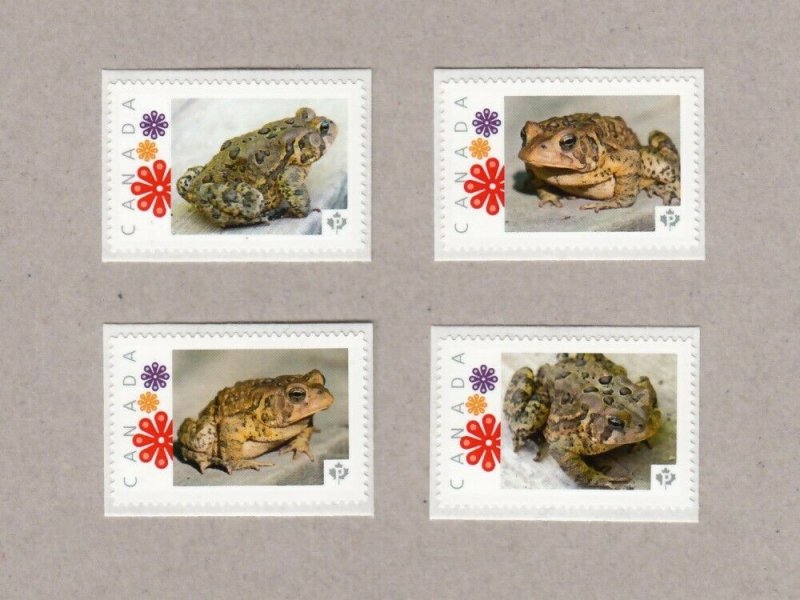 qlp. AMERICAN TOAD, FROG = set of 4 Picture Postage stamps Canada 2017 p17-02fr4