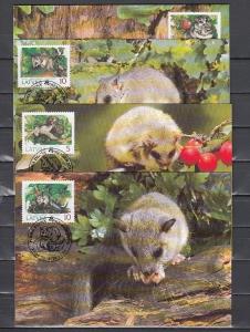 Latvia, Scott cat. 381-384. Dormouse issue on 4 Maximum cards.  W.W.F.