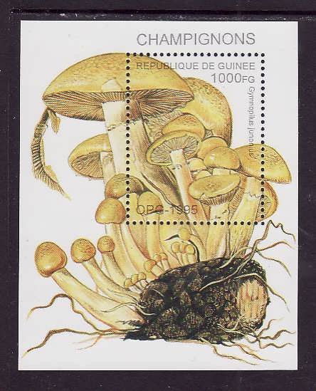 Guinea-Sc#1336-unused NH sheet-Mushrooms-Fungi-1995-
