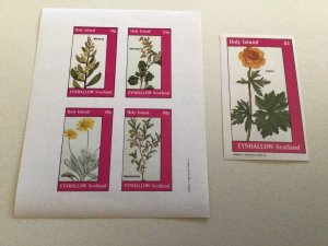 Holy Island Scotland Flowers mint never hinged stamps sheets Ref R49087