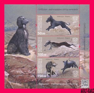 KYRGYZSTAN 2016 Traditional Kyrgyz Hunting Salbuurun Taigan Dog Wolf Animals s-s