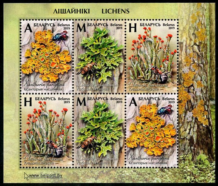 HERRICKSTAMP NEW ISSUES BELARUS Lichens Souvenir Sheet