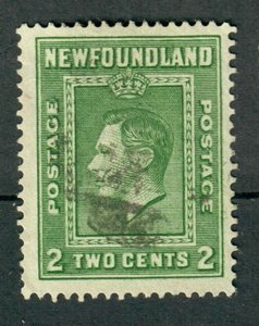 Newfoundland #245 used single - perf 13.5