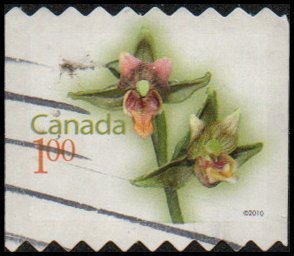 Canada 2358 - Used - $1 Giant Helleborine Orchid (Sawtooth Perf) (2010)