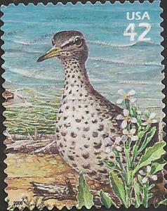 # 4352f USED SPOTTED SANDPIPER