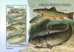 LIBERIA- 2023 - Freshwater Fish - Perf Souv Sheet - Mint Never Hinged