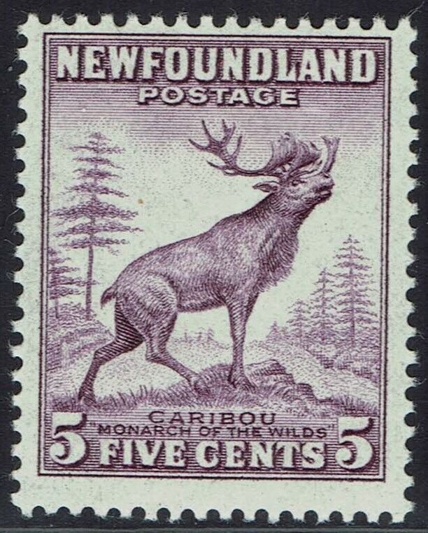 NEWFOUNDLAND 1941 CARIBOU 5C PERF 13½ MNH ** 