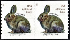 U.S.#5545 Brush Rabbit 20c Additional Ounce Coil Pair, MNH.