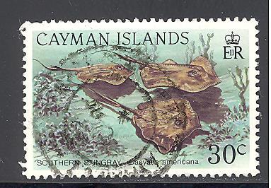 Cayman Islands Sc # 663 used  (DT)