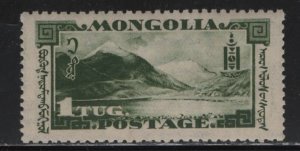 MONGOLIA  70  MNH