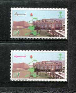 Saudi Arabia 1346-1347, MNH, 2004, Tabuk 2v. x27343