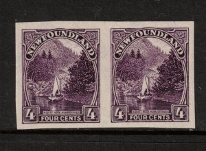 Newfoundland #134a Extra Fine Never Hinged Imperf Pair