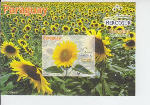 2012 Paraguay Mercosur Energy Sunflowers SS(Scott 2961) MNH