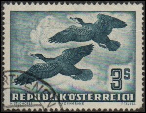 Austria C57 - Used - 3s Great Cormorant (1953) (cv $95.00)