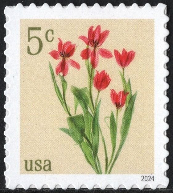 SC#5900 5¢ Red Tulips Single (2024) SA